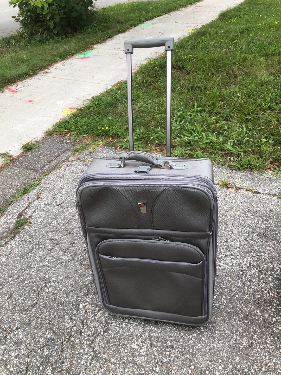 Delsey Suitcase