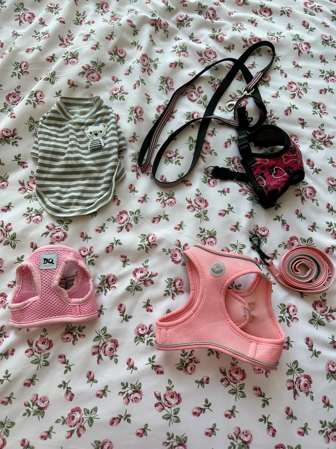 Small dog accessories