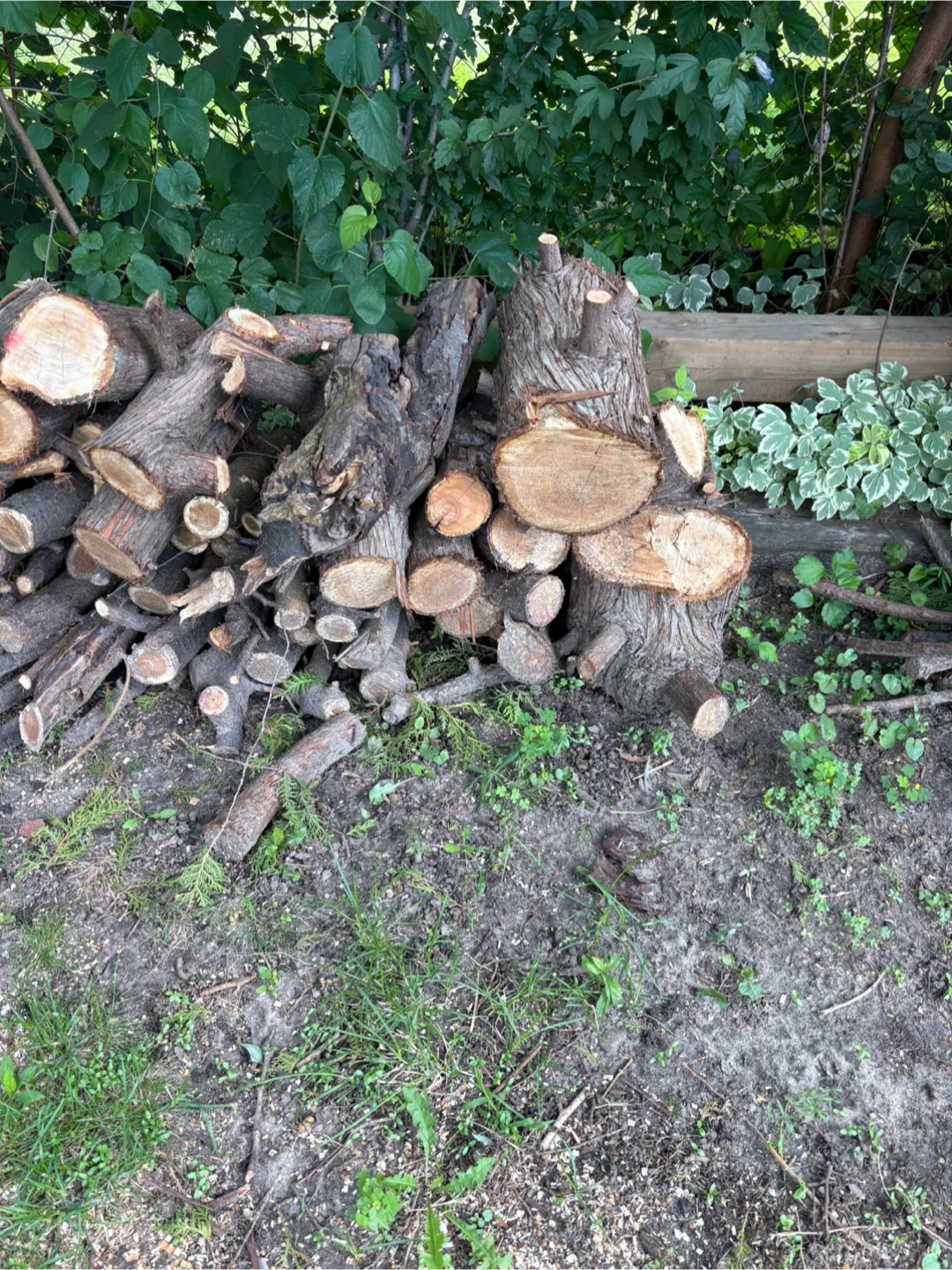 Free Firewood Logs