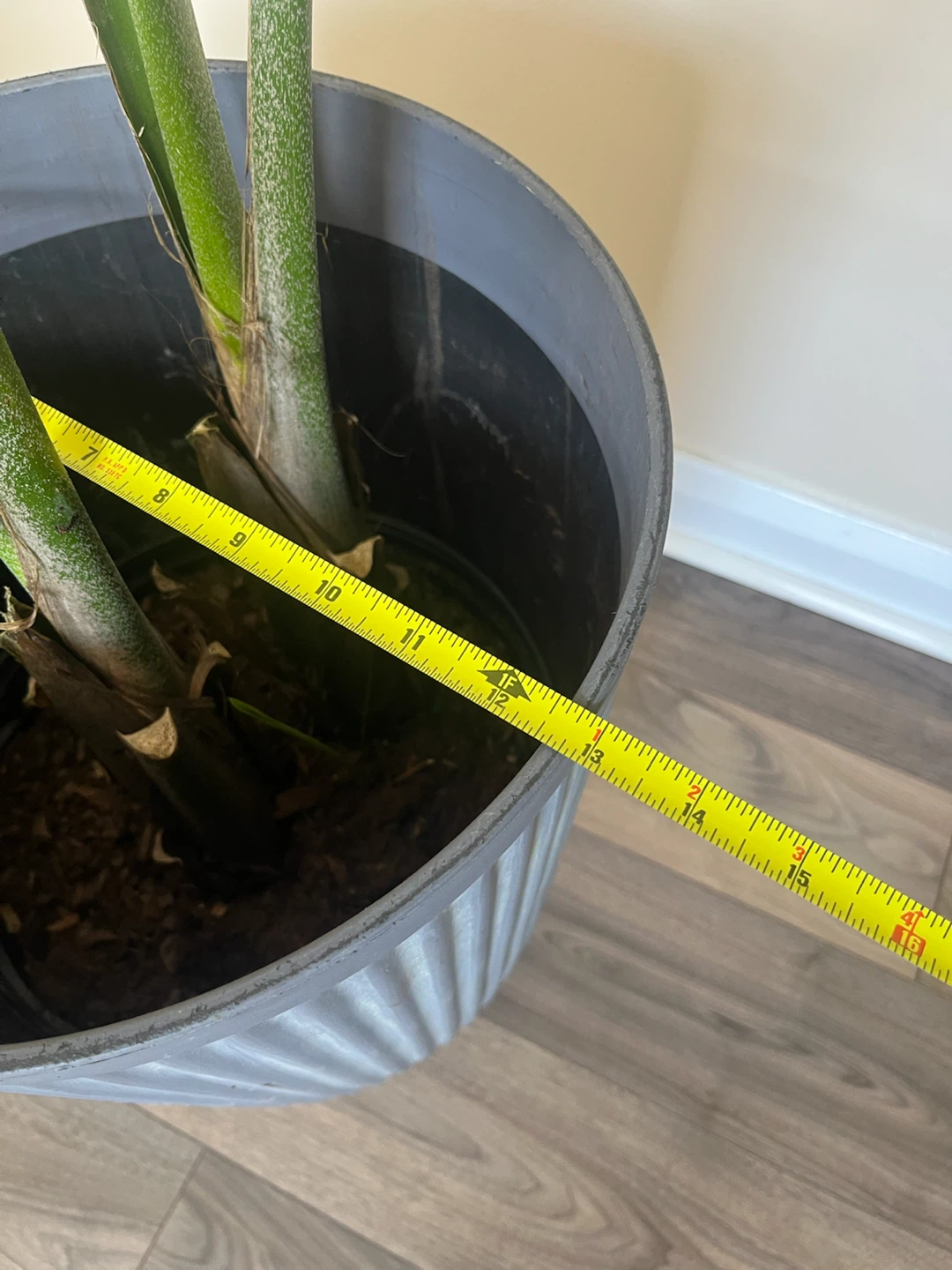 Large Grey Planter with Palm - photo 2