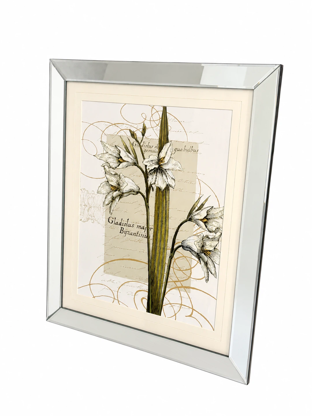Mirrored Frame Botanical Floral Wall Art 23” x 27.5”