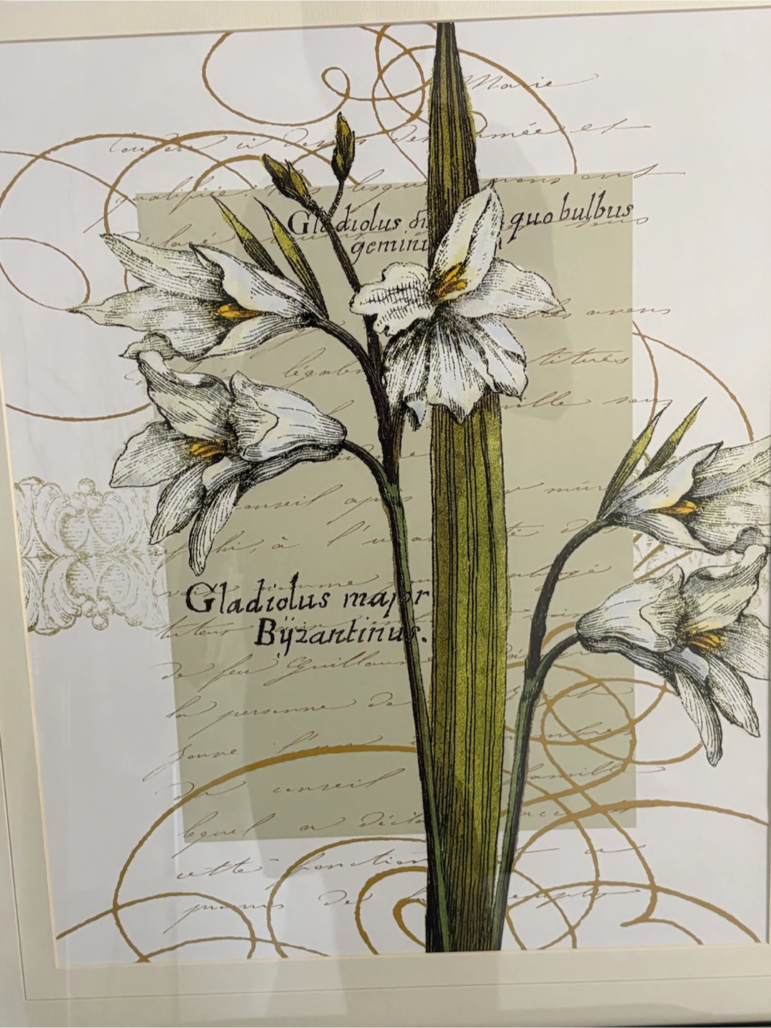 Mirrored Frame Botanical Floral Wall Art 23” x 27.5” - photo 5