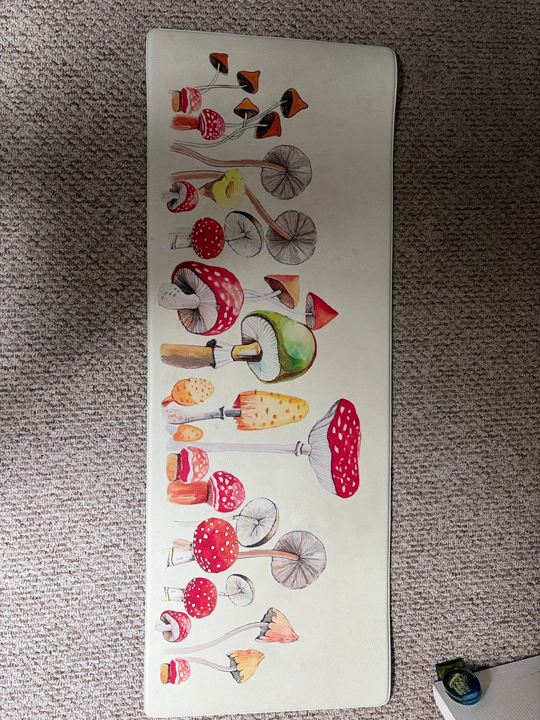 Anti-fatigue mats - vintage mushroom illustrations