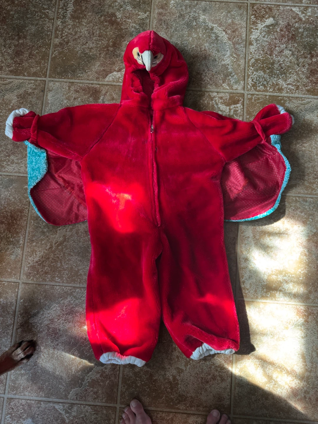 Kids Parrot Costume - Size 3-4