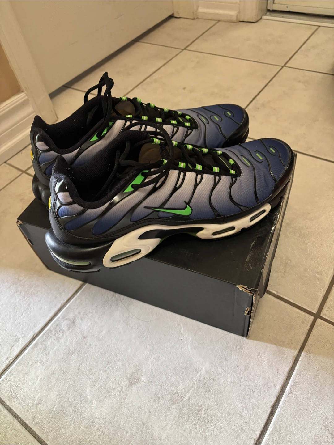 Nike Air Max Plus TN SE US13