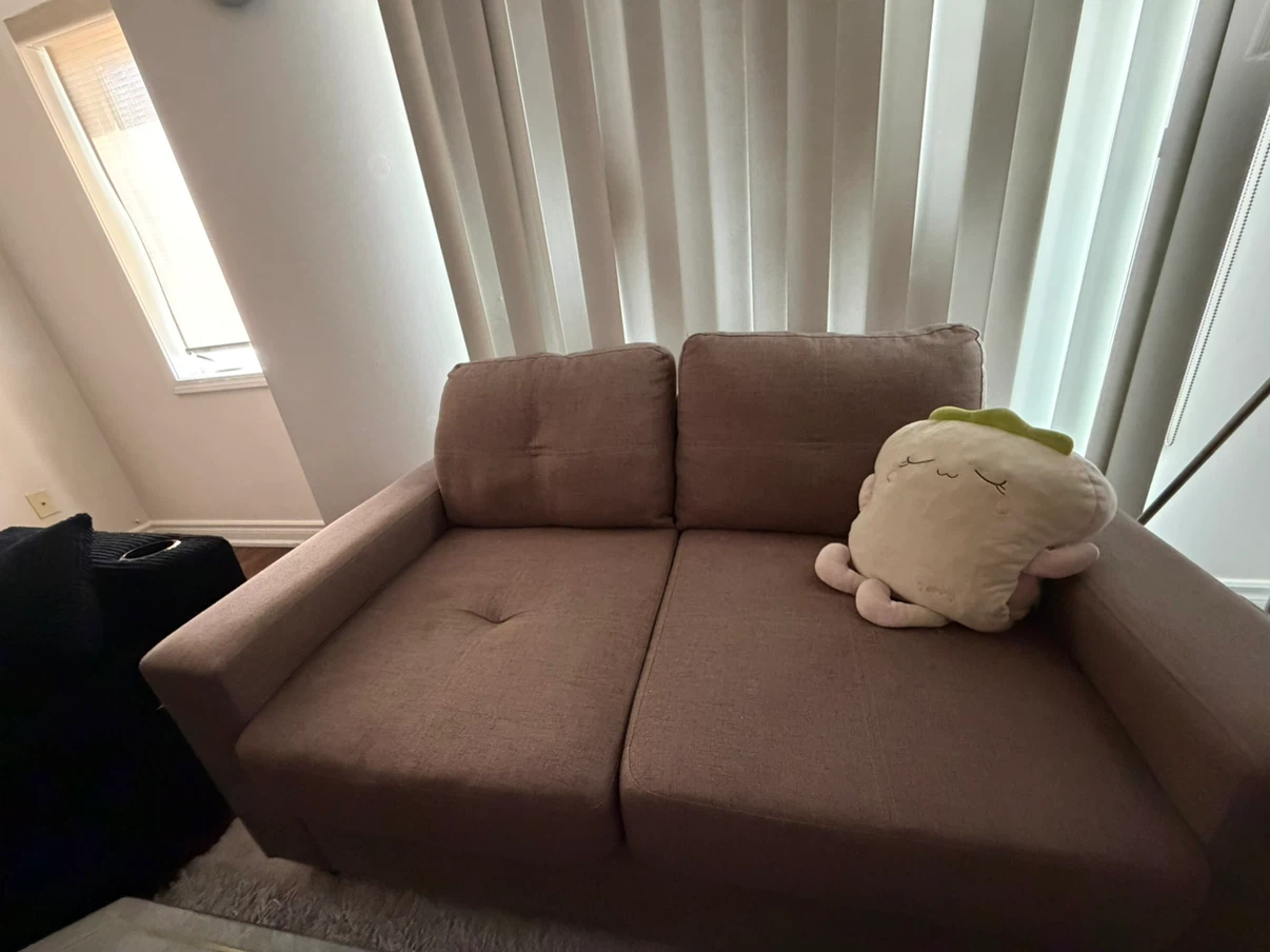 Brown Loveseat Sofa