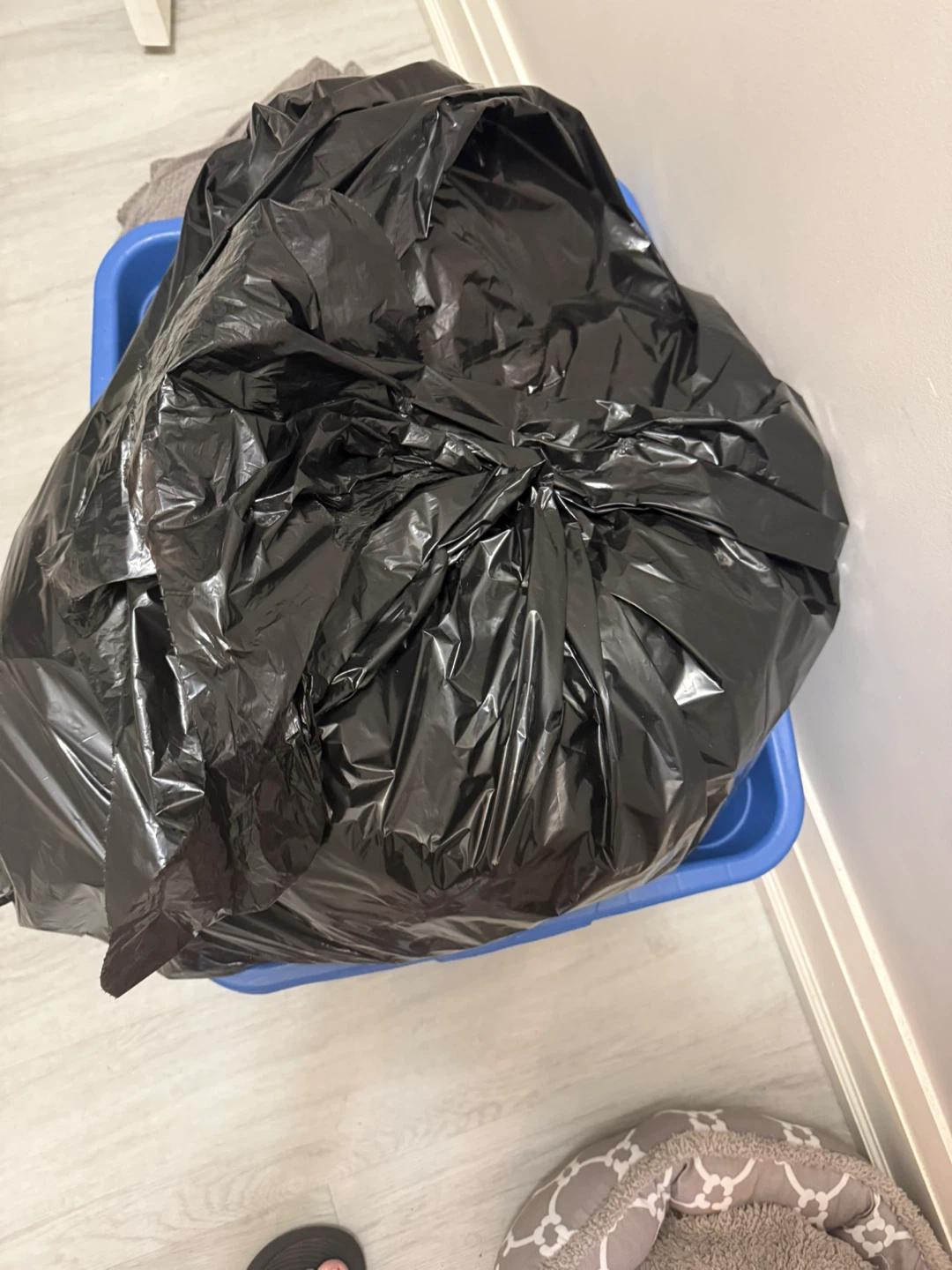 #freecycle. Women’s Clothing.