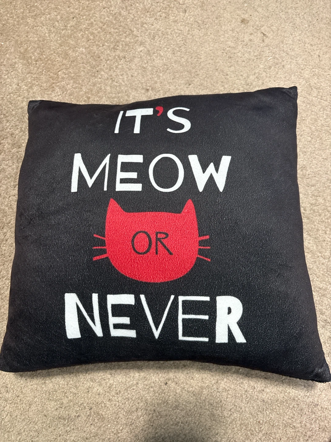 Cat Accent Pillow