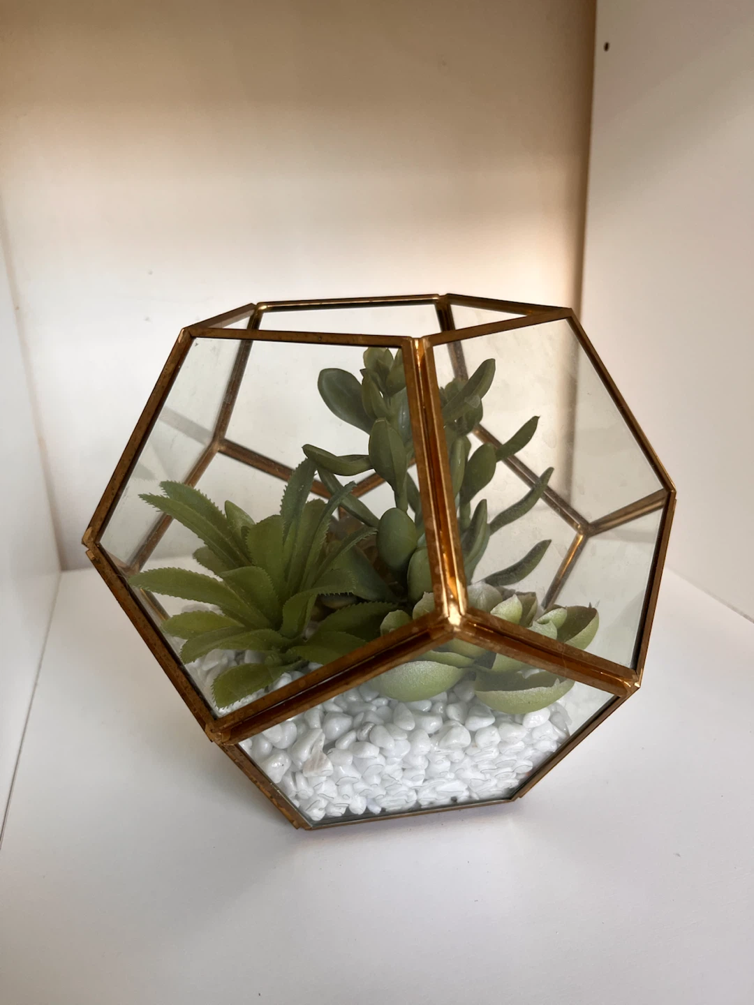 Geometric Terrarium