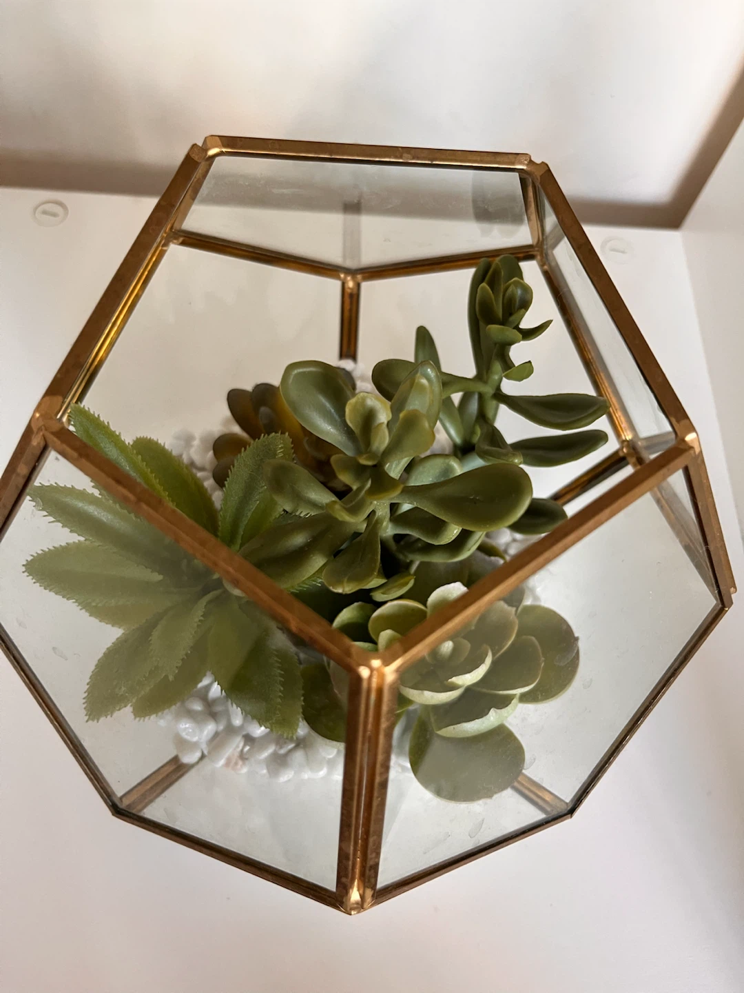 Geometric Terrarium - photo 2