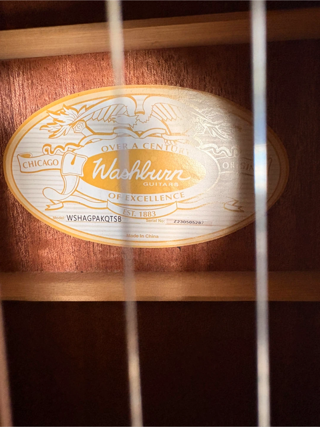 Washburn Acoustic Guitar with Accessories - photo 2