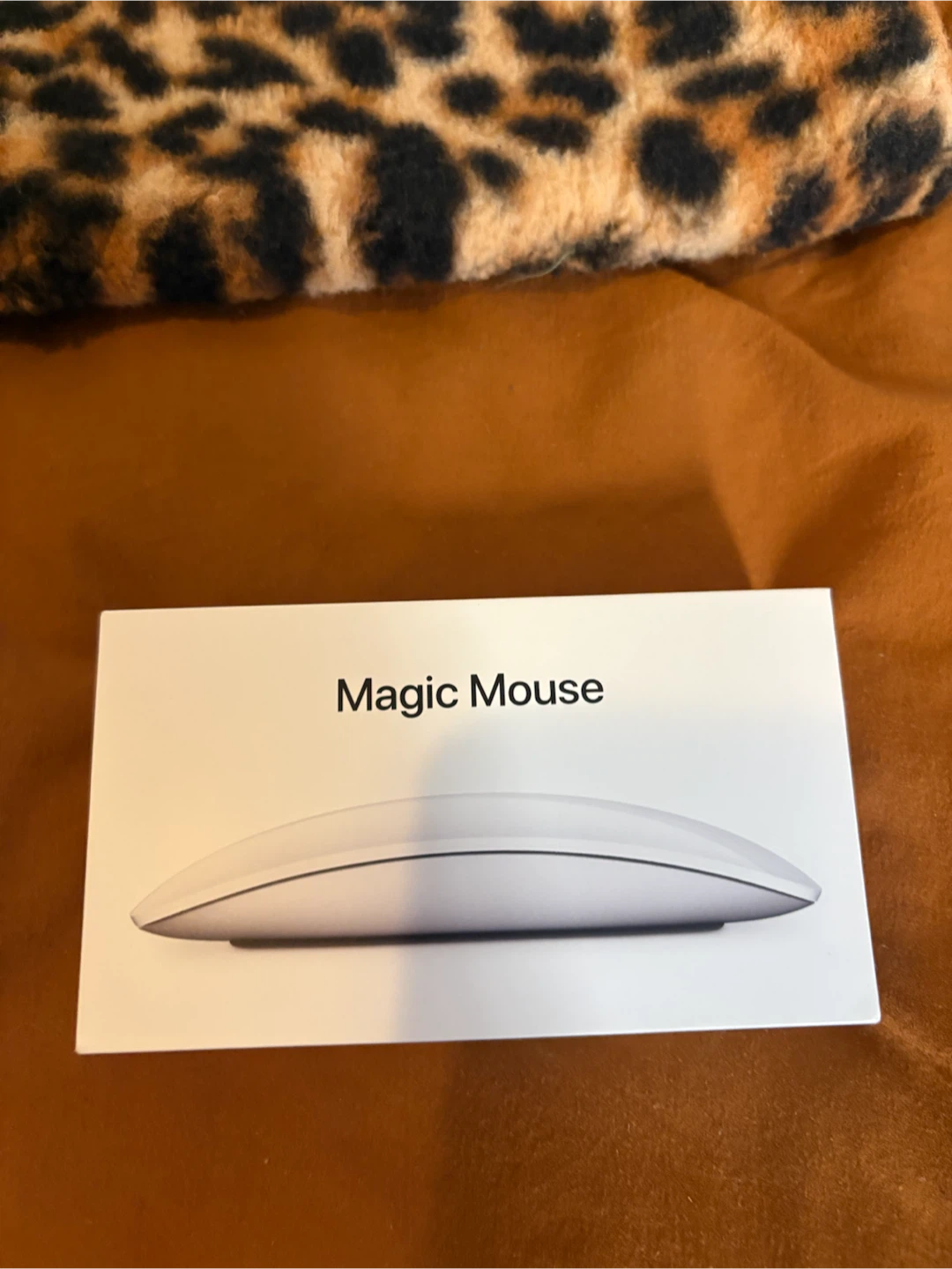 Apple Magic Mouse