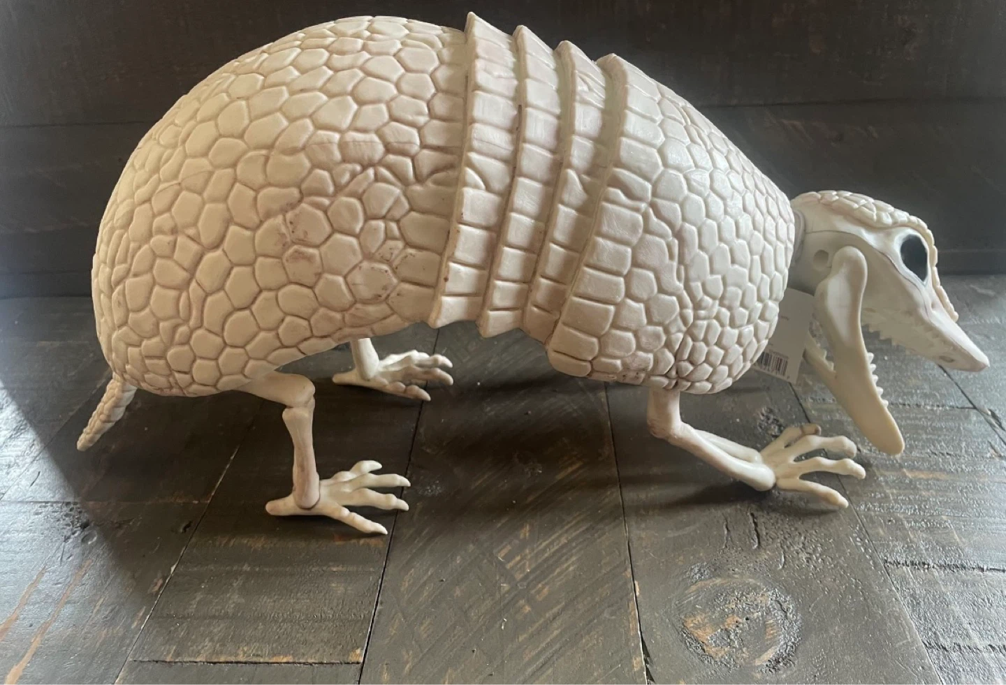 NEW - Plastic Faux Skeleton Armadillo - photo 2