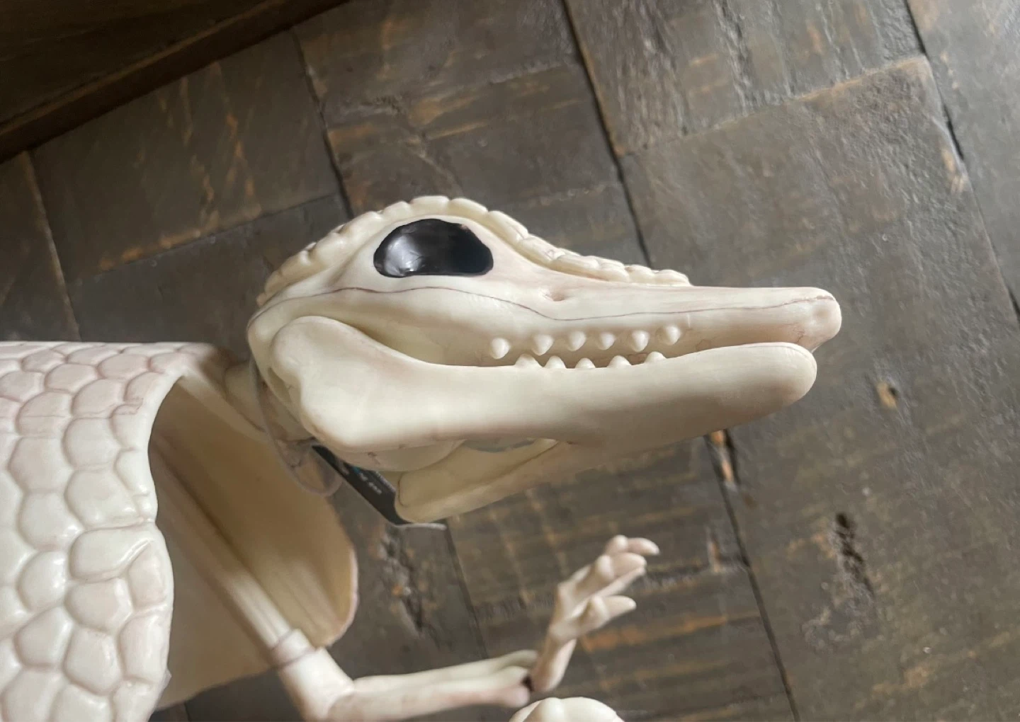 NEW - Plastic Faux Skeleton Armadillo - photo 4