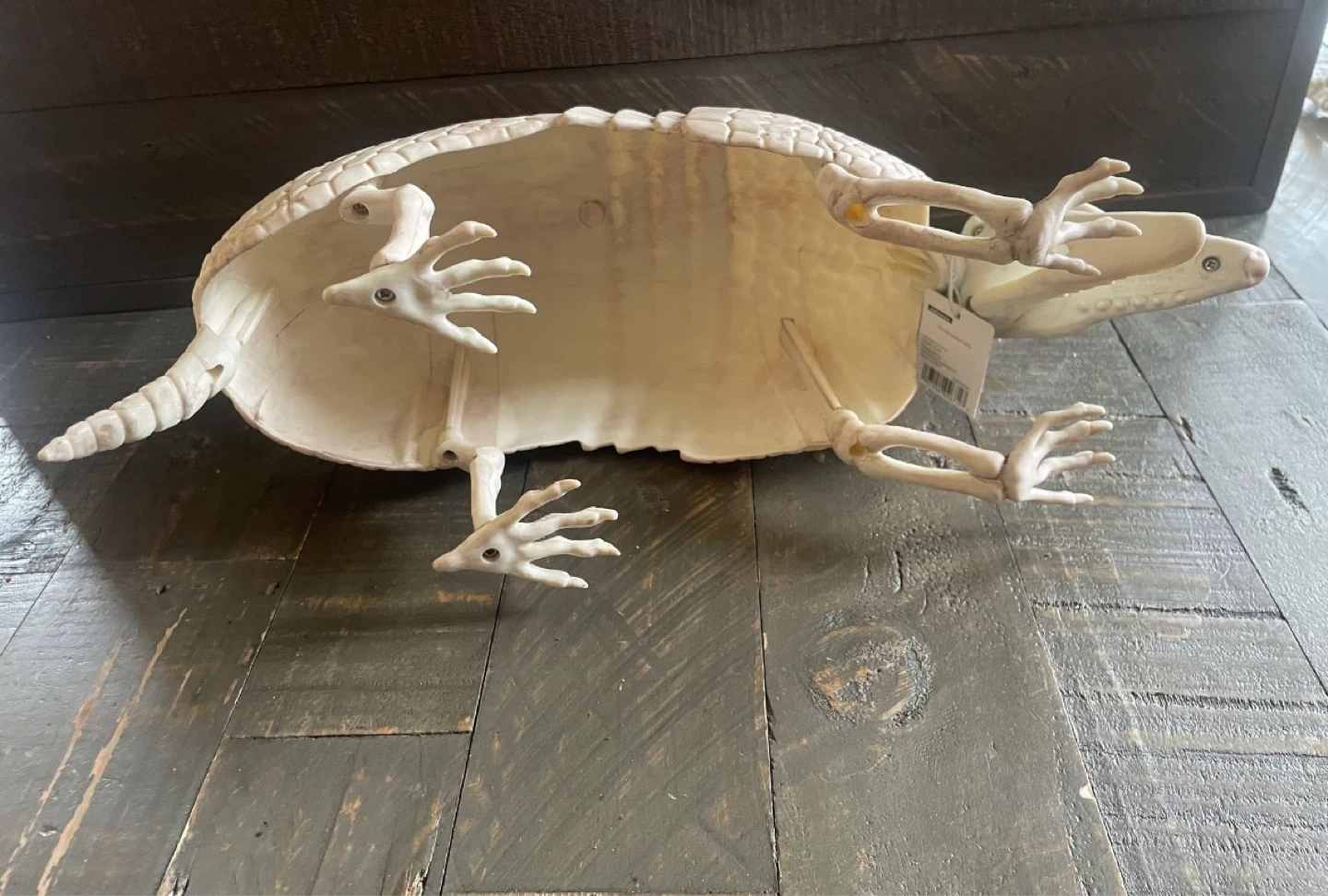 NEW - Plastic Faux Skeleton Armadillo - photo 3