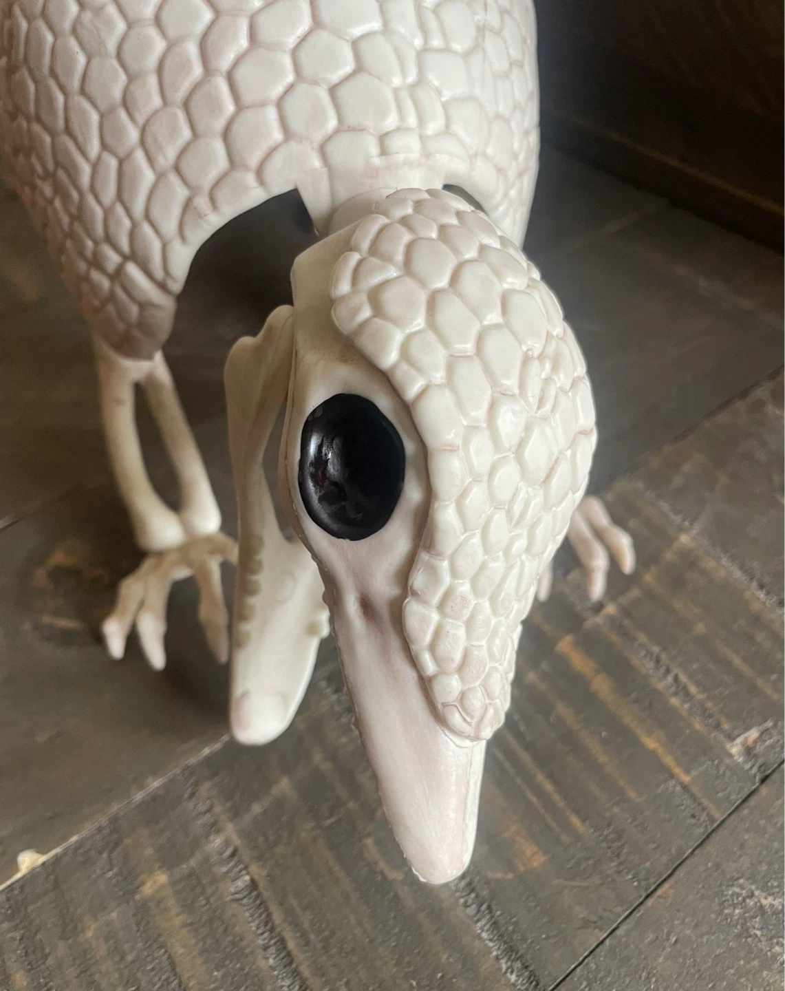NEW - Plastic Faux Skeleton Armadillo - photo 5