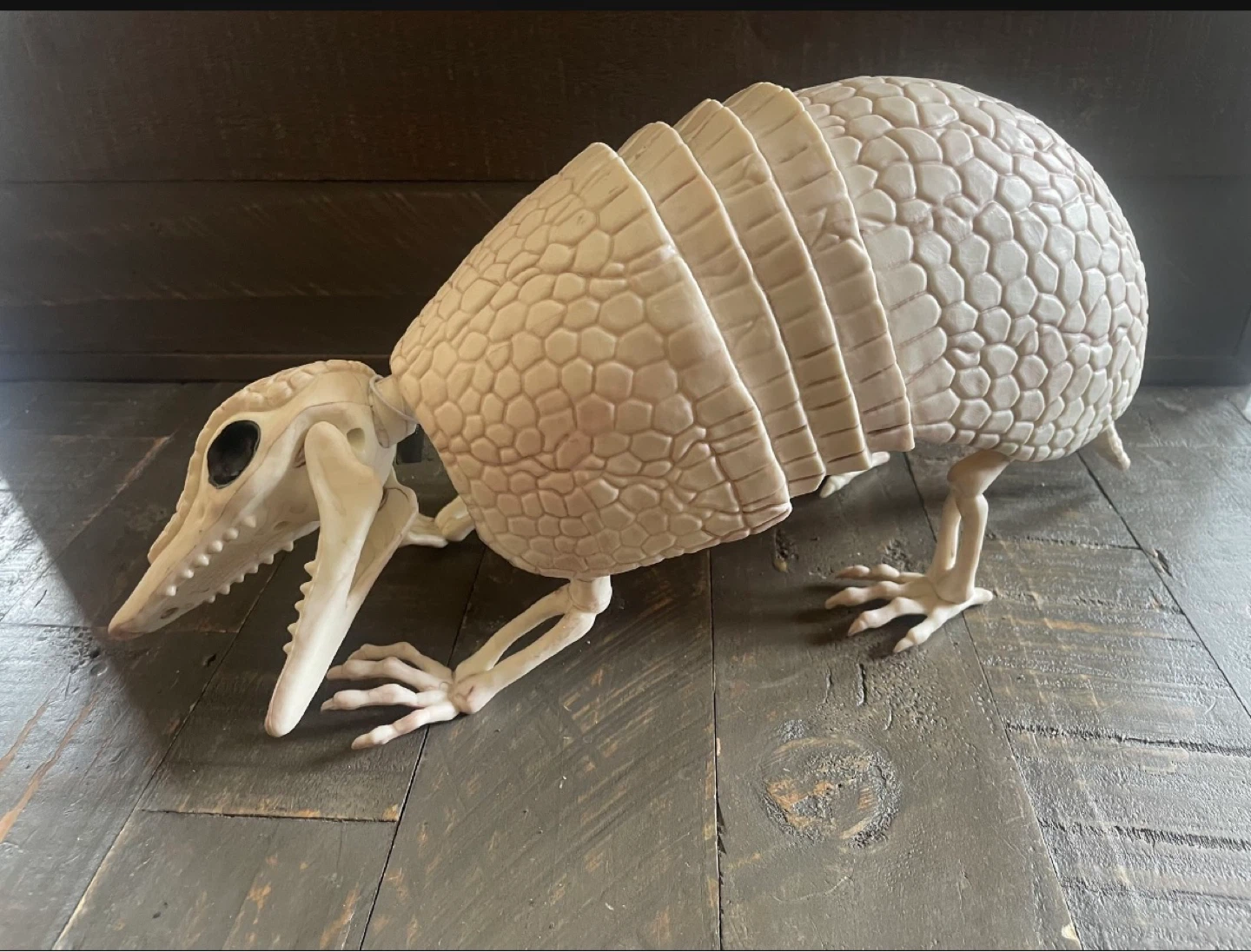NEW - Plastic Faux Skeleton Armadillo