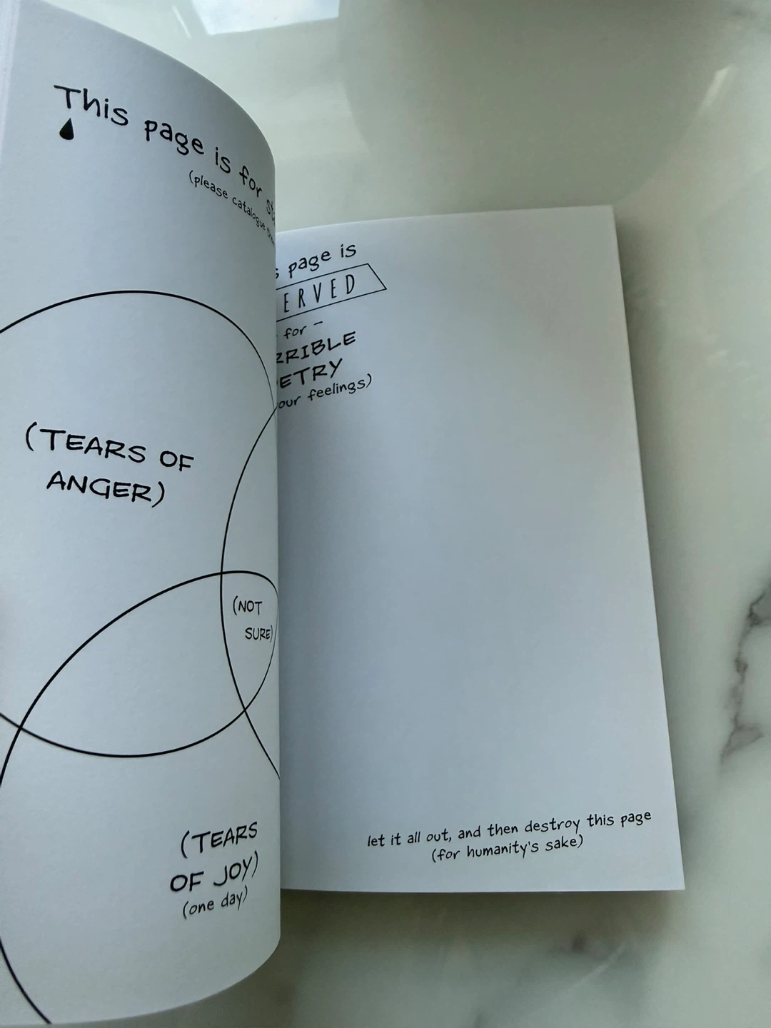 The Break-Up Journal by Tom DeVondald - photo 3