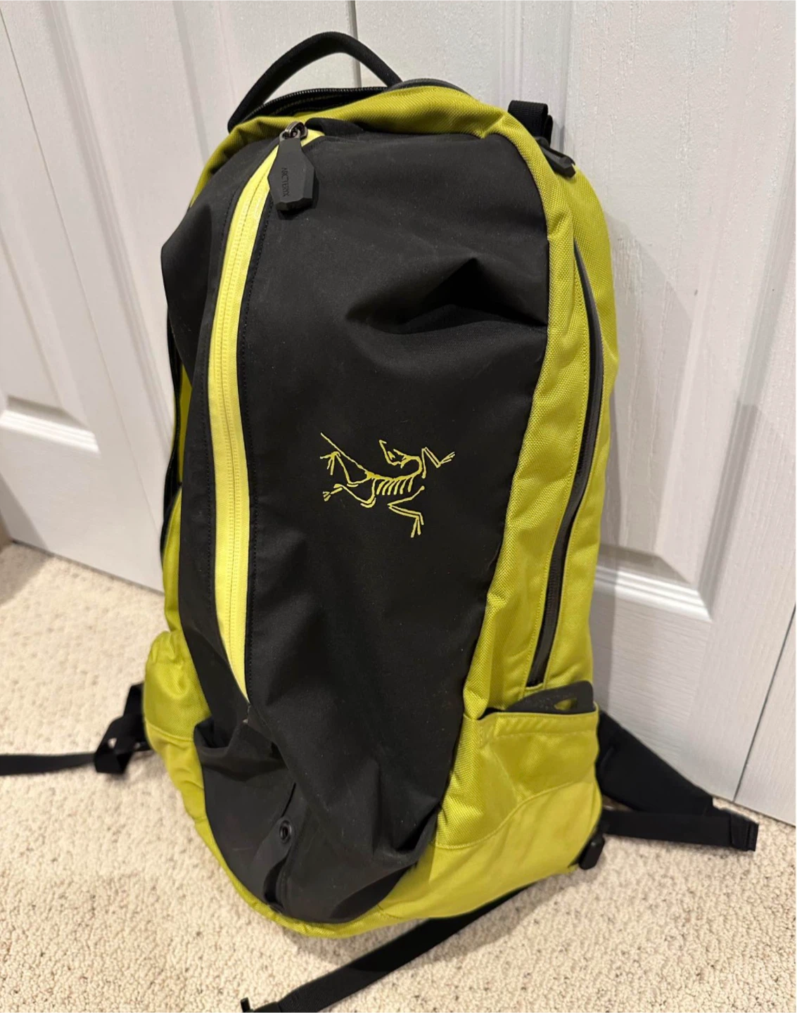 Arcteryx Arro 22 Backpack