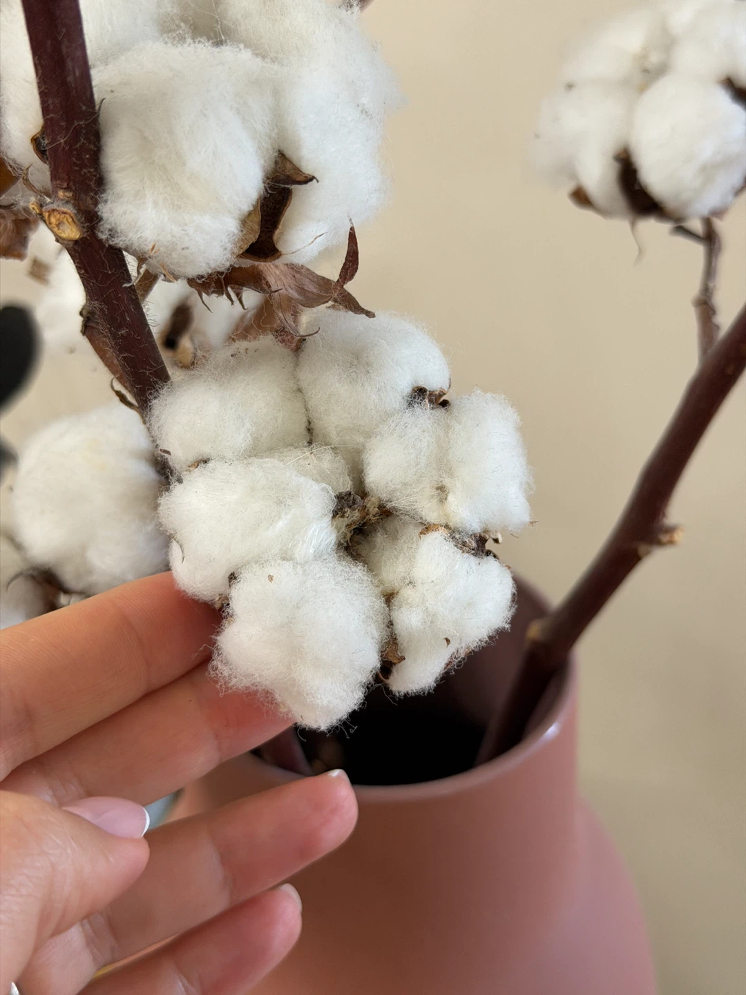 EQ3 Boniface Vessels with cotton stems - photo 5