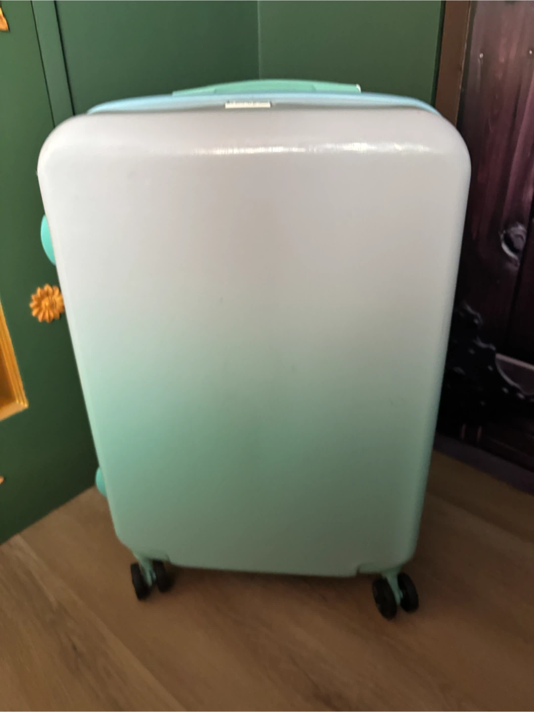 CALPAK Luggage