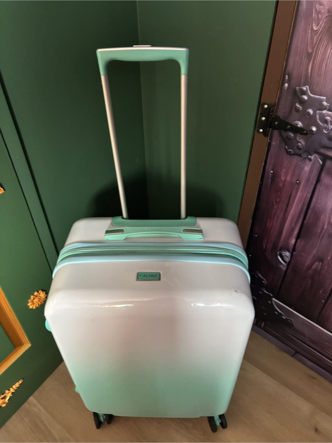 CALPAK Luggage - photo 3