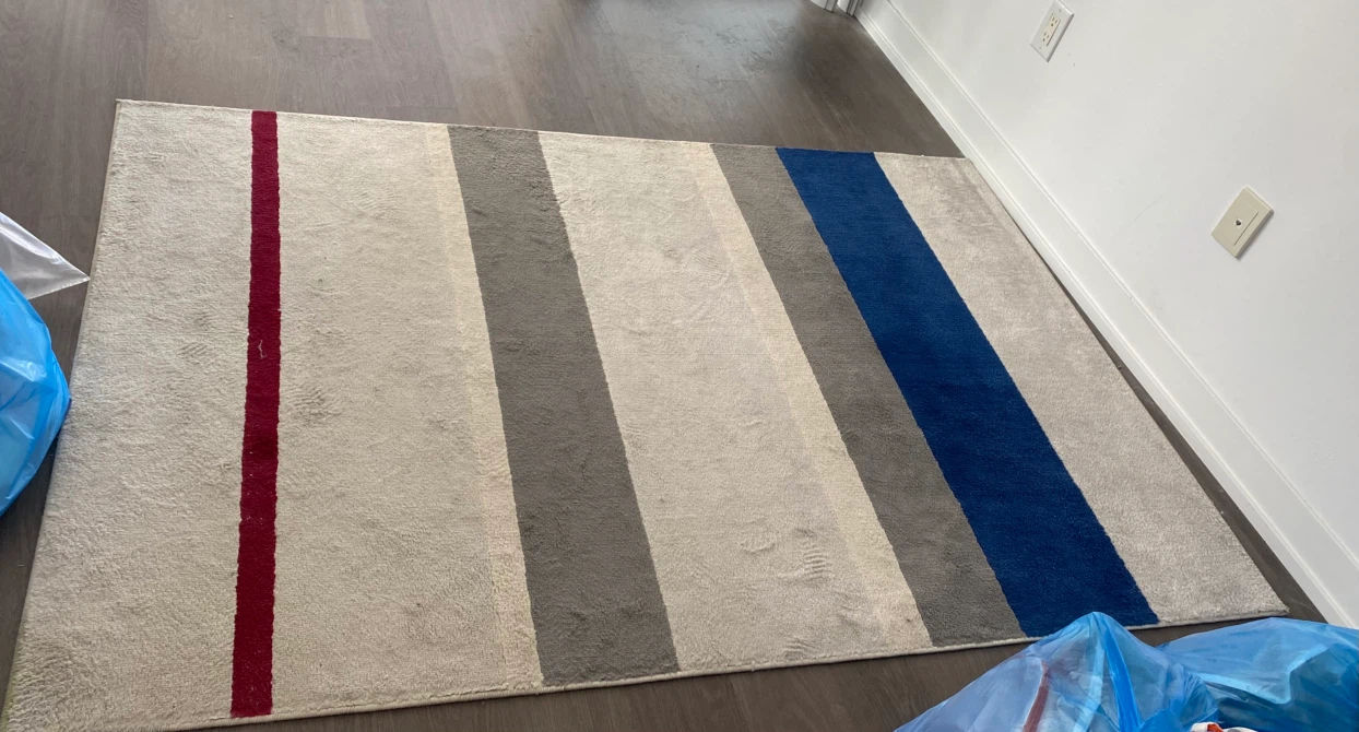 IKEA Striped Area Rug