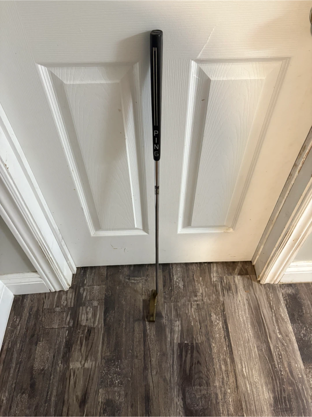 Ping Zing putter - photo 4