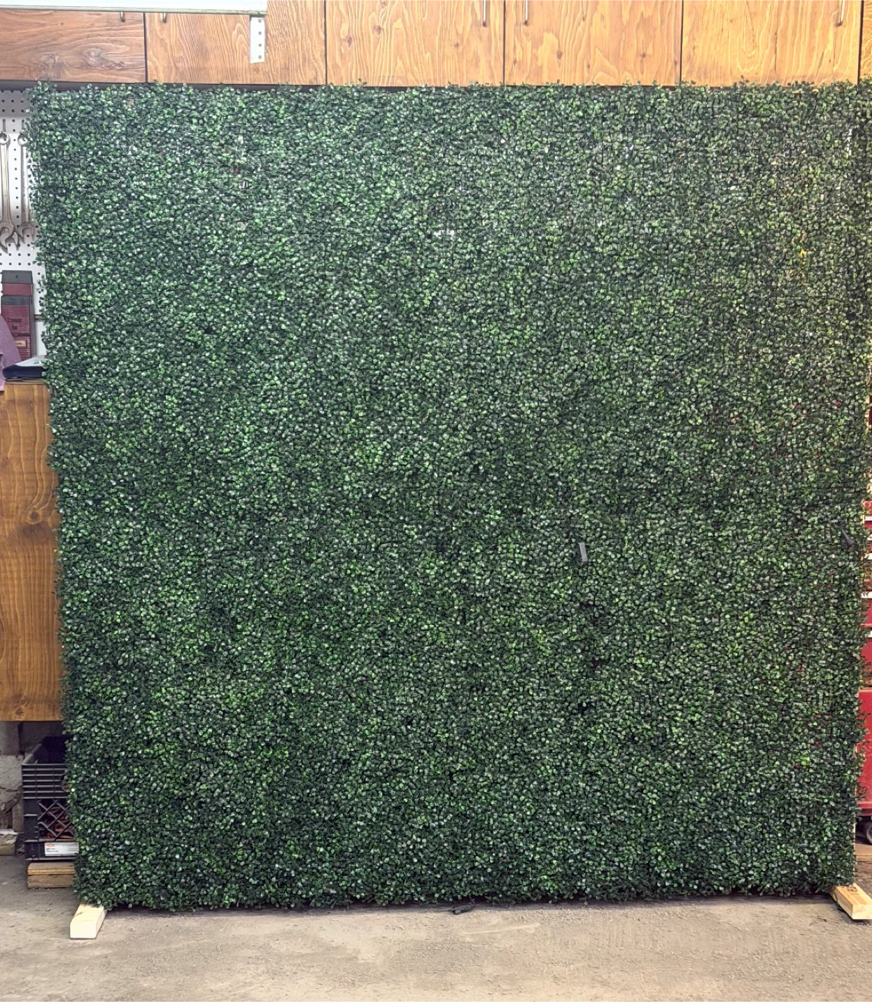 Boxwood Backdrop / Wall