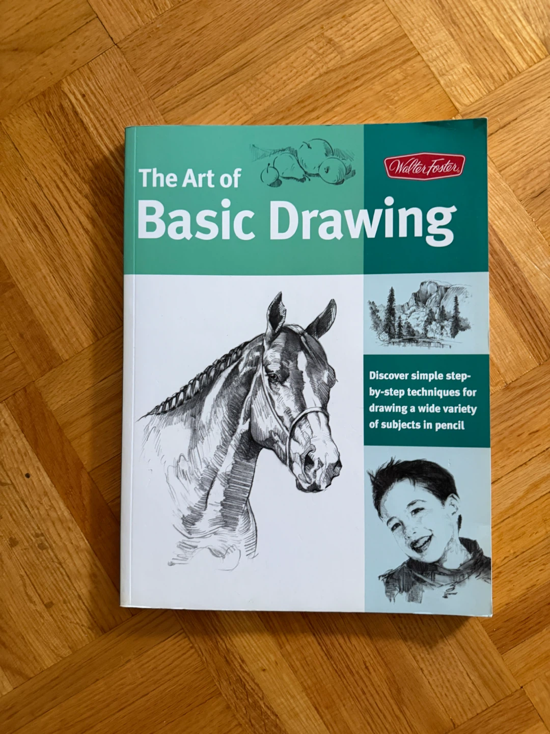 The Art of Basic Drawing Book - Walter Foster Step-By-Step Guide