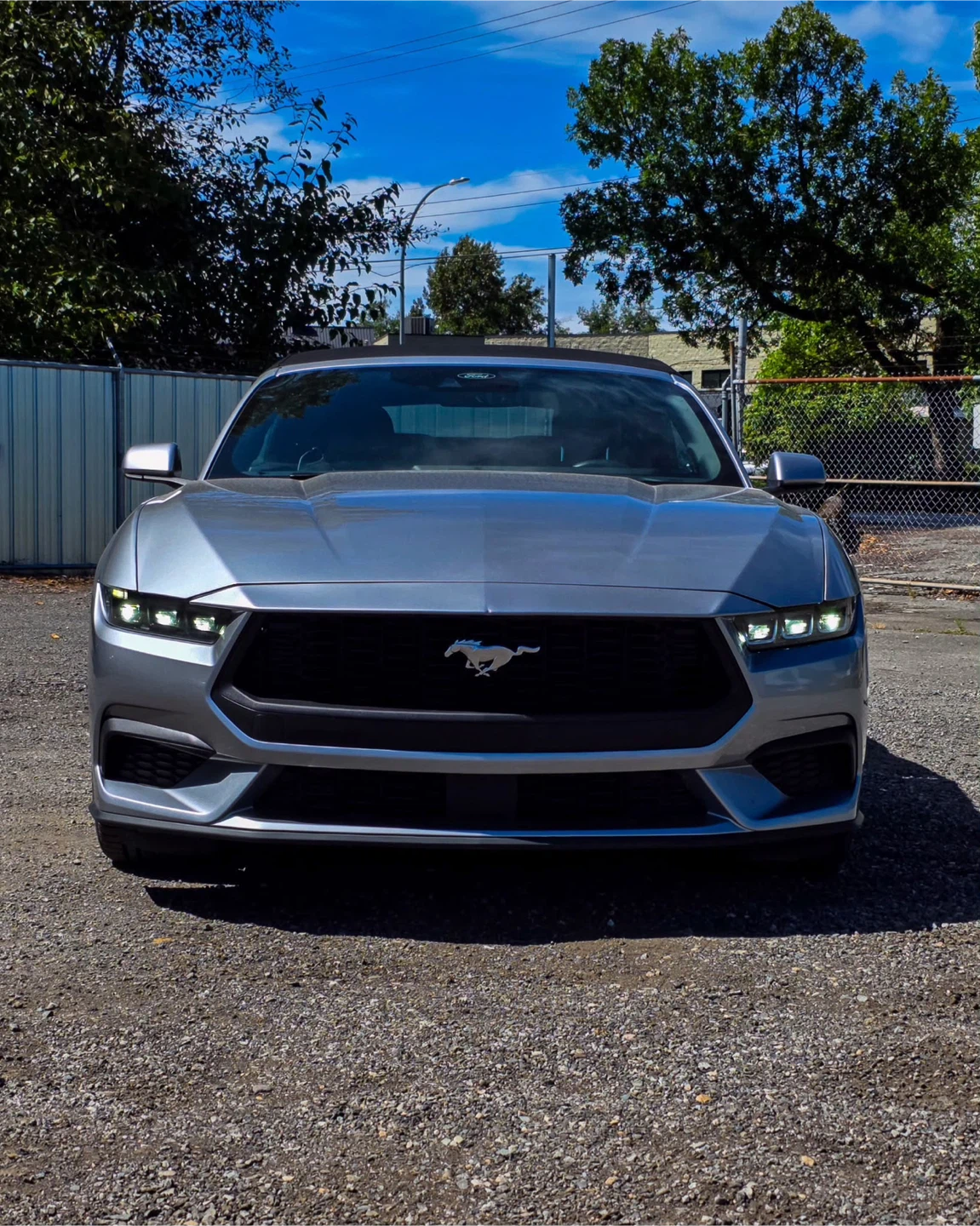 🔥 **2025 FORD MUSTANG ECOBOOST — ONLY 27,000+ KM!** 🔥 - photo 2