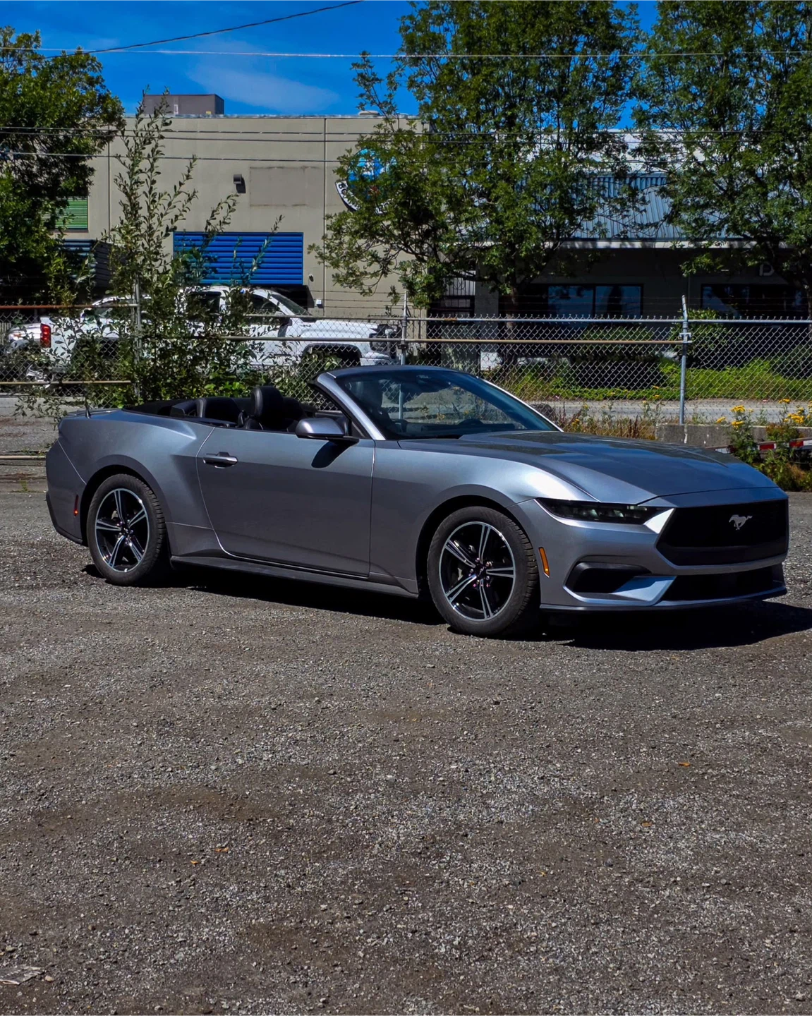 🔥 **2025 FORD MUSTANG ECOBOOST — ONLY 27,000+ KM!** 🔥 - photo 4
