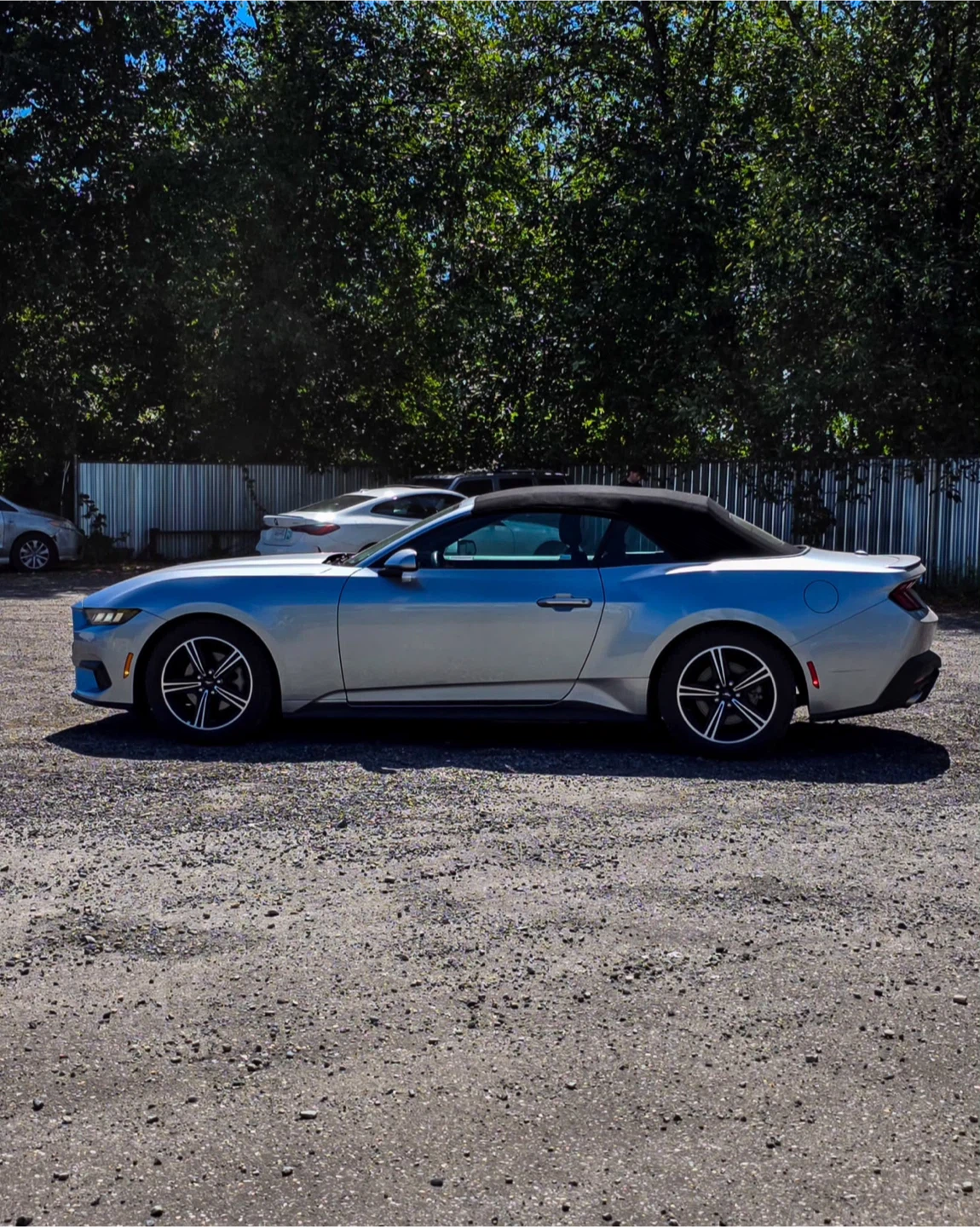 🔥 **2025 FORD MUSTANG ECOBOOST — ONLY 27,000+ KM!** 🔥 - photo 5