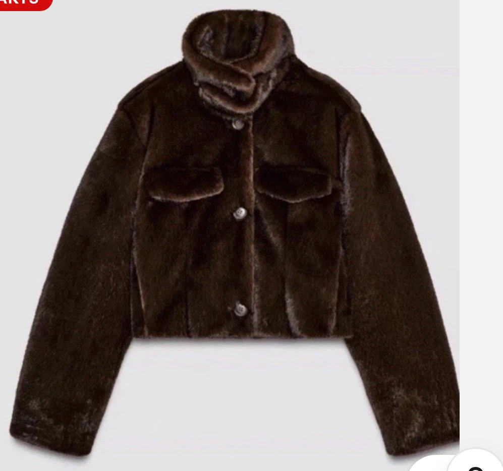 Zara Faux Fur Cropped Jacket