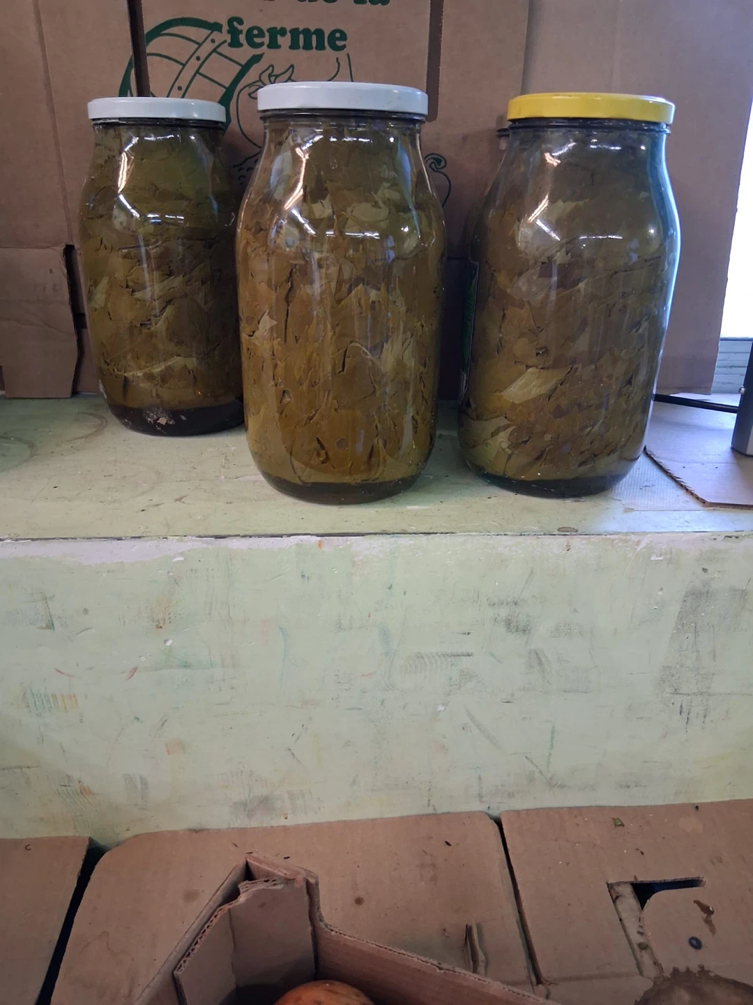 Grape Leaf Jars