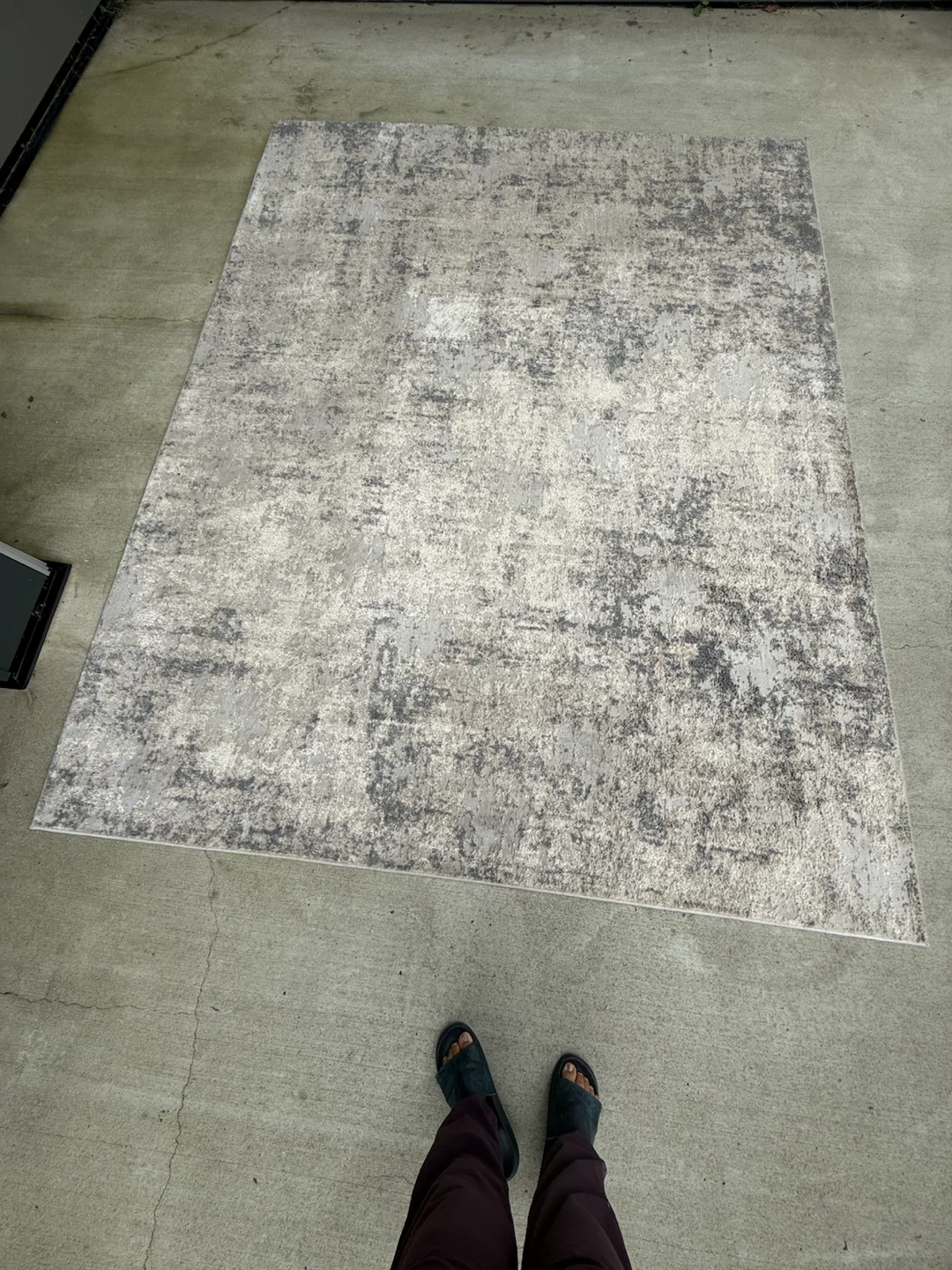 Safavieh Continental Area Rug 7'10" x 10' - photo 4