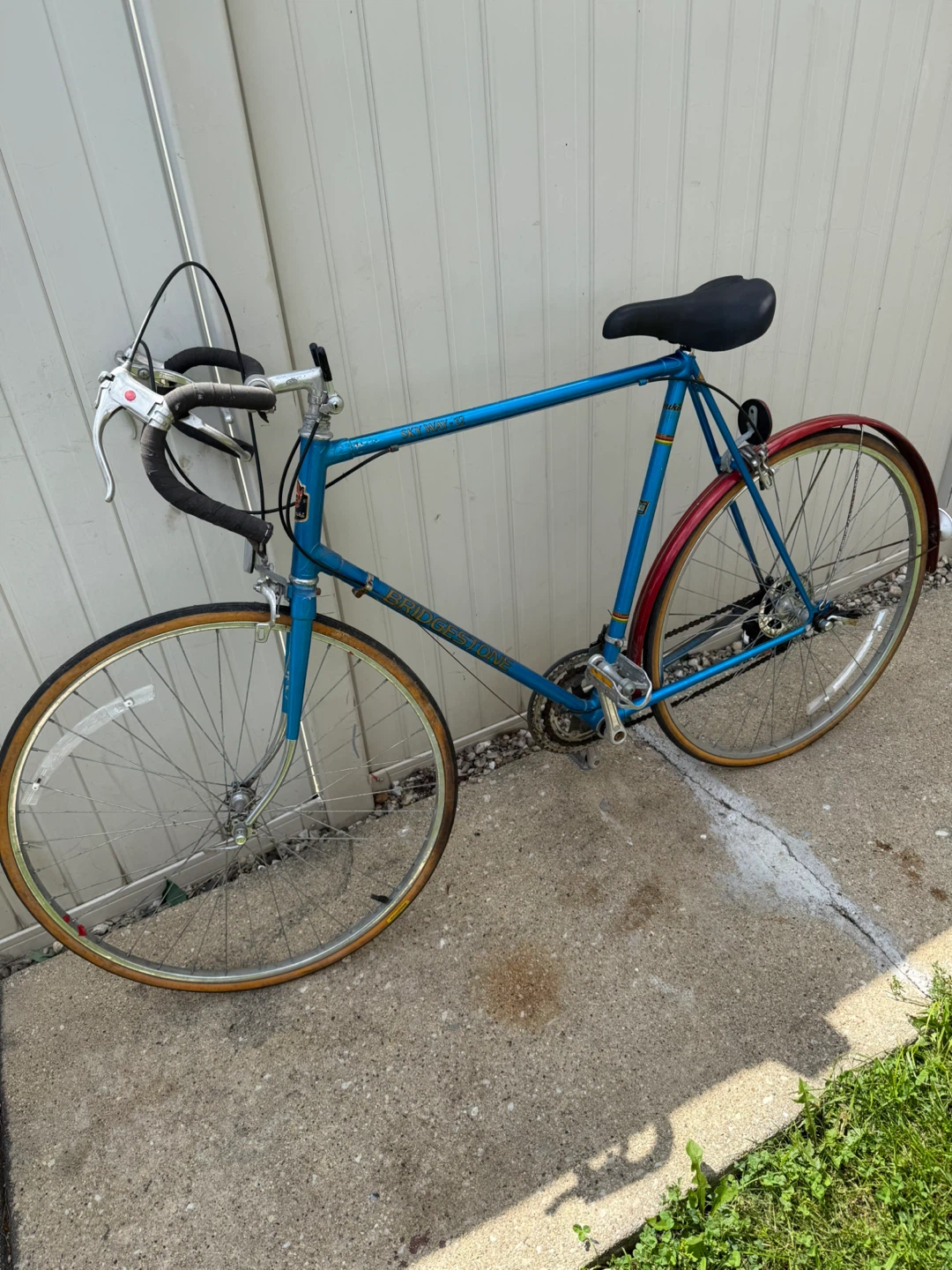Bridgestone Kabuki Road Champion Bike