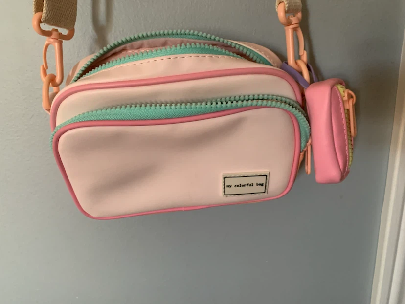 Zara Pink Pastel Crossbody Bag with Detachable Pouch