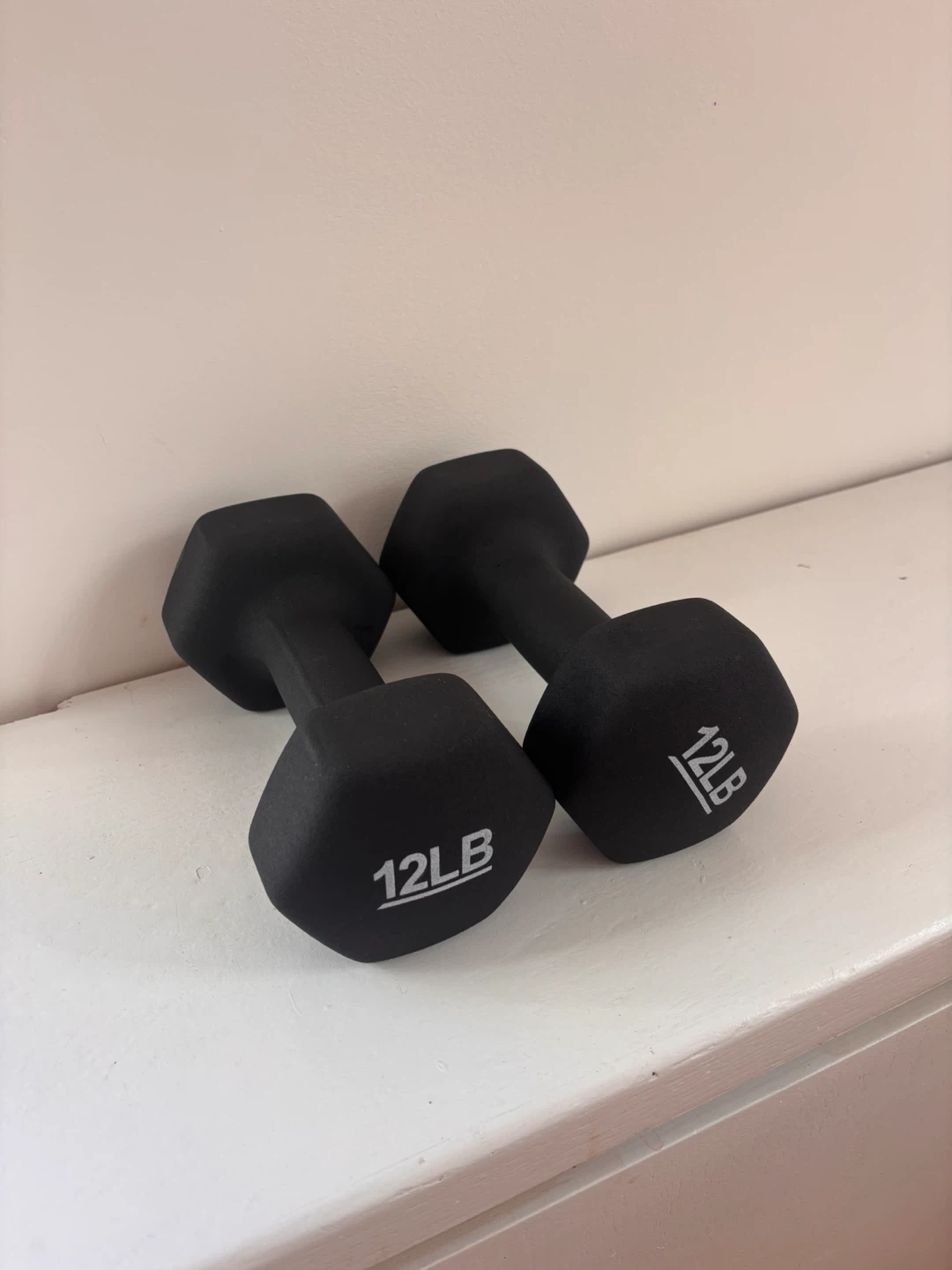 Pair of 12lb Dumbbells