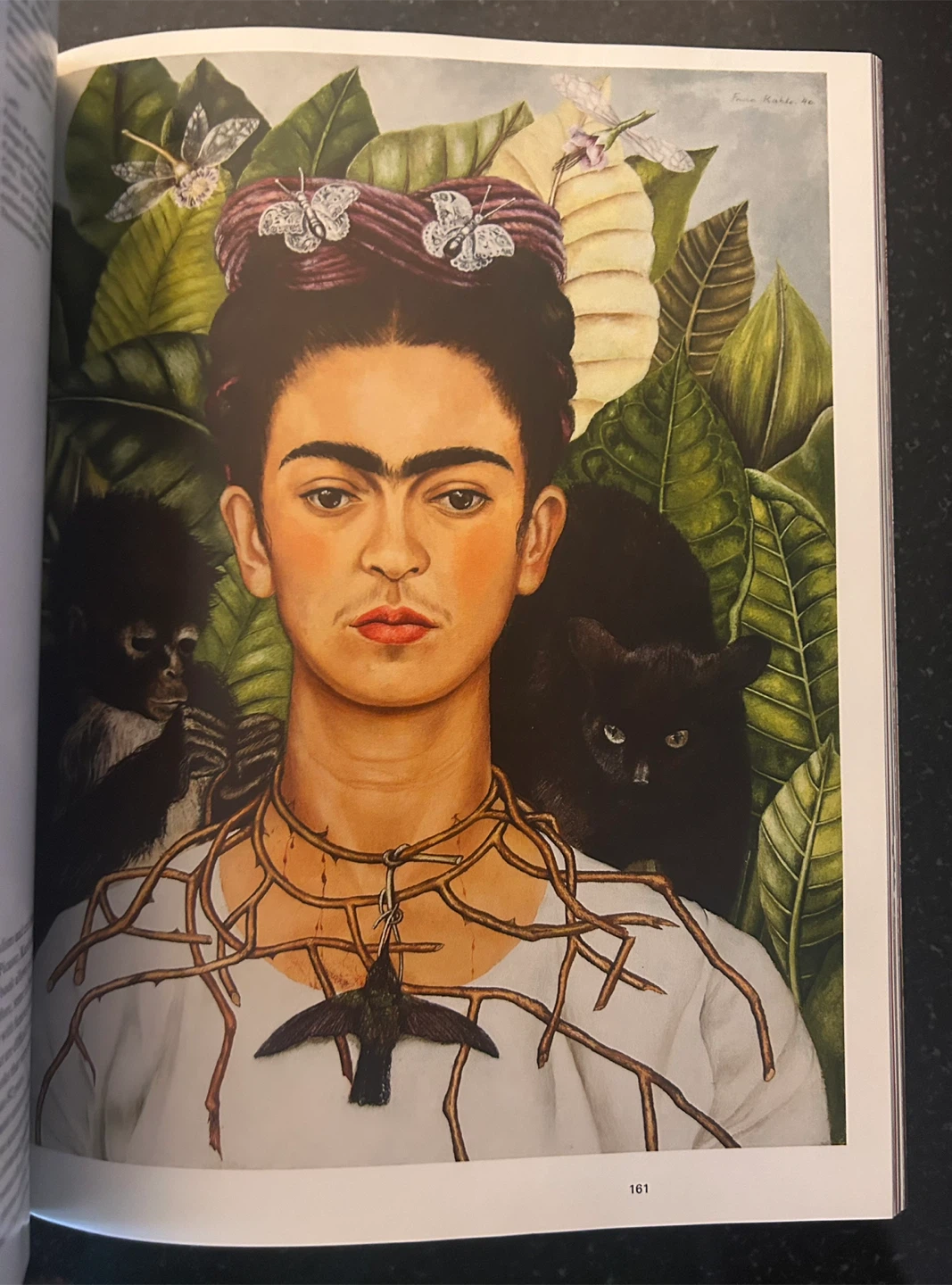 Taschen Frida Kahlo The Complete Paintings Book - photo 3
