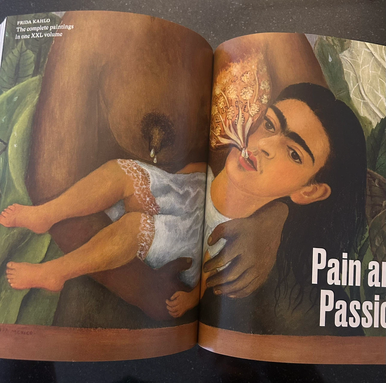 Taschen Frida Kahlo The Complete Paintings Book - photo 4