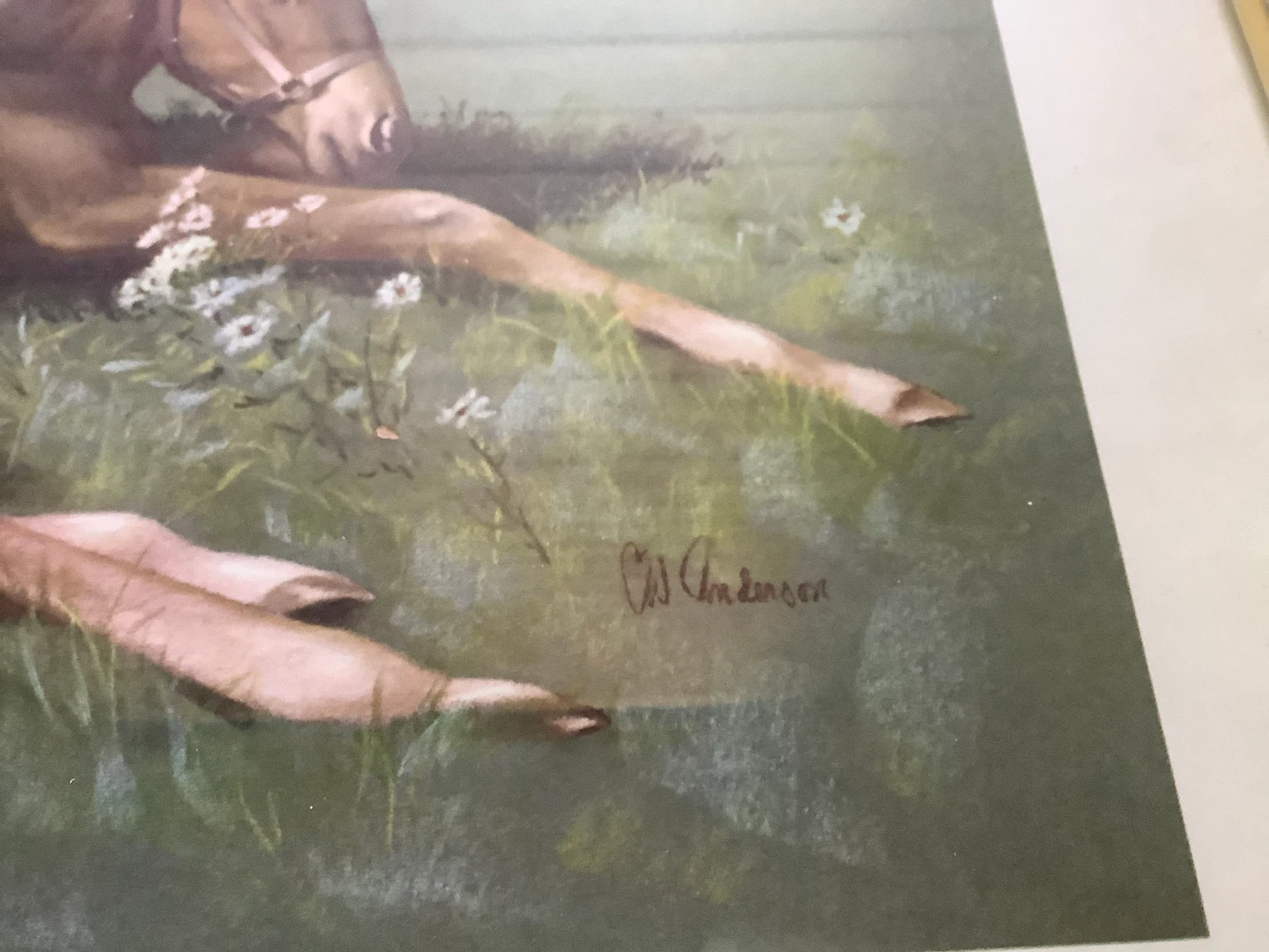 Horse Artist Clarence C.W. Anderson’s Lithograph “New Arrival” - photo 2