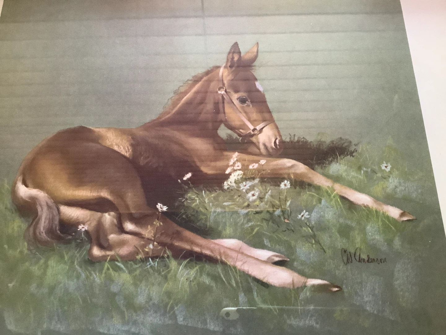 Horse Artist Clarence C.W. Anderson’s Lithograph “New Arrival” - photo 3