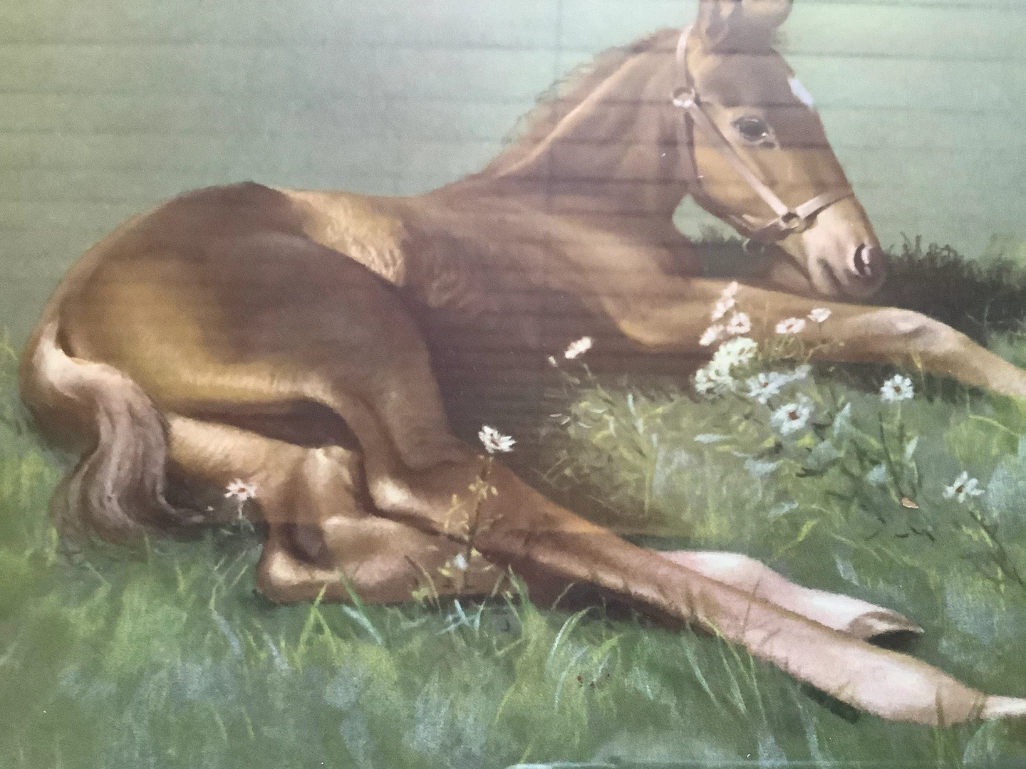 Horse Artist Clarence C.W. Anderson’s Lithograph “New Arrival” - photo 4
