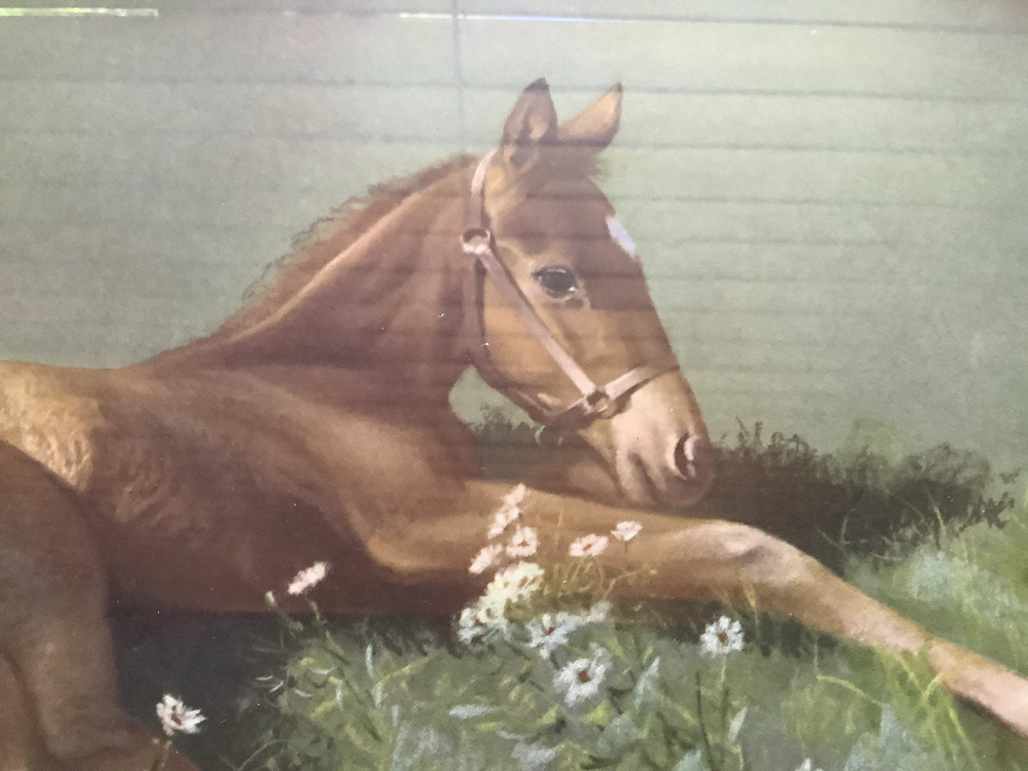 Horse Artist Clarence C.W. Anderson’s Lithograph “New Arrival” - photo 5