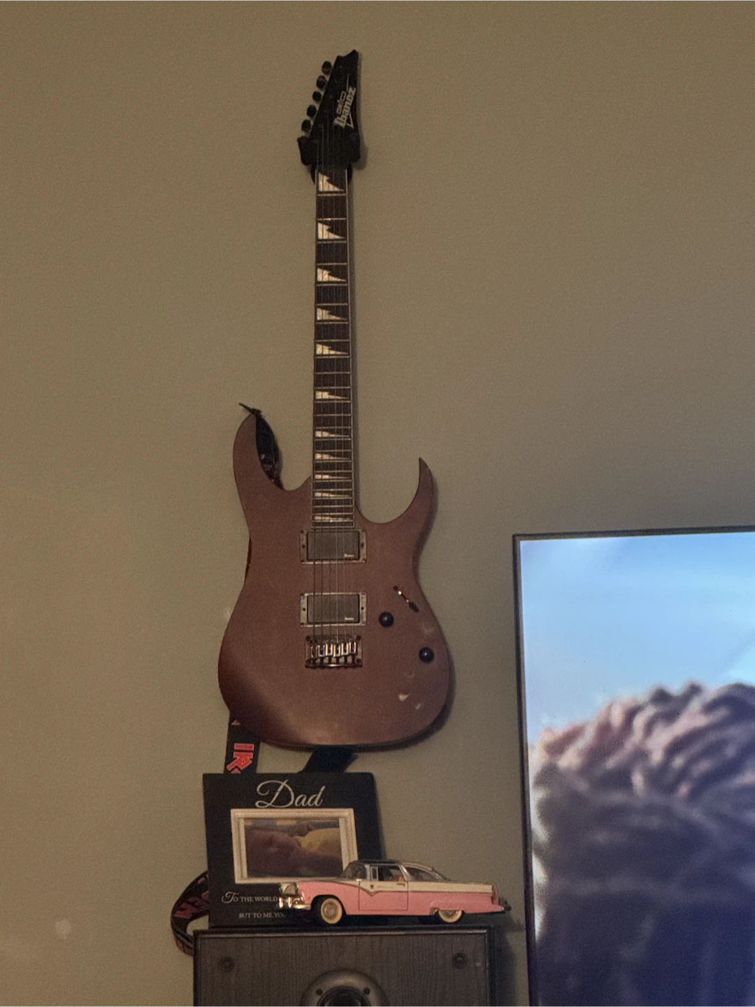 Ibanez Electric Guitar