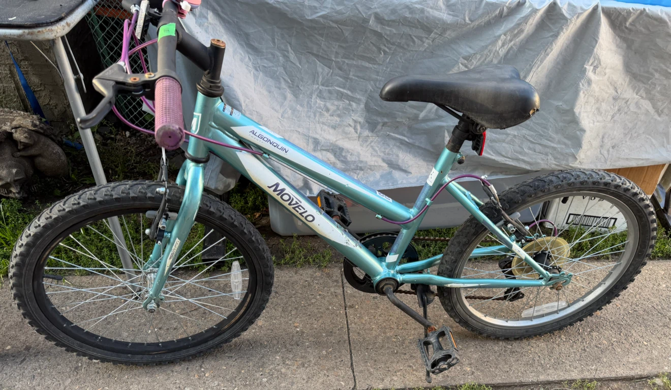 Hearts 18" and 20" bikes - photo 5