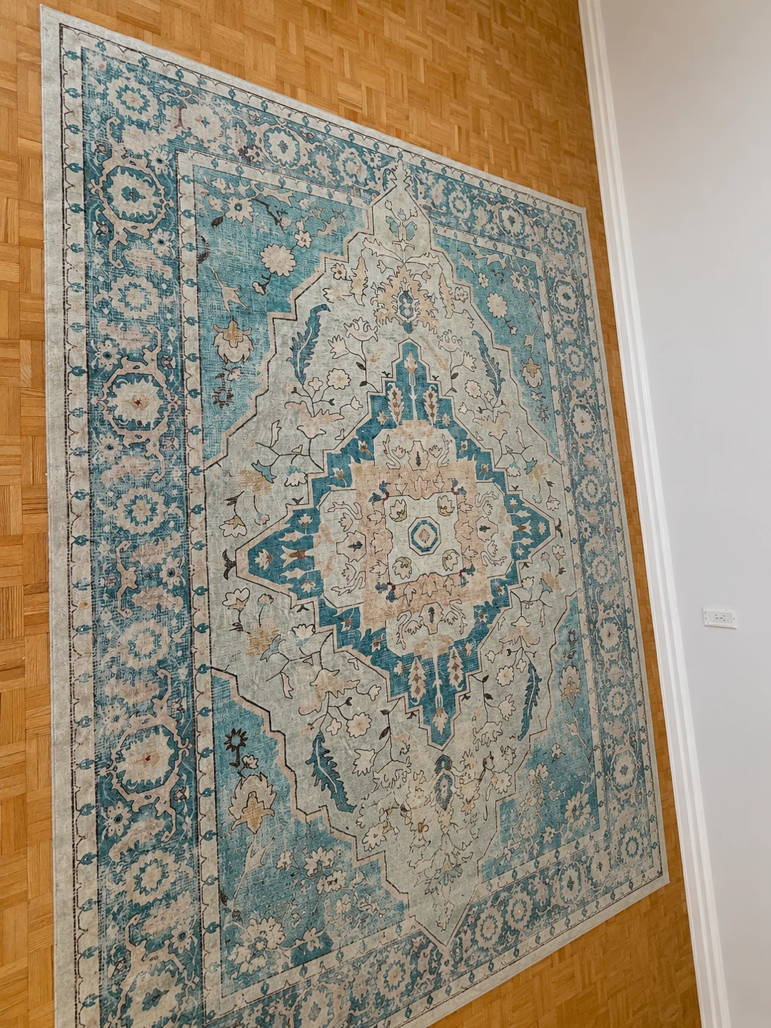 Persian Style Area Rug