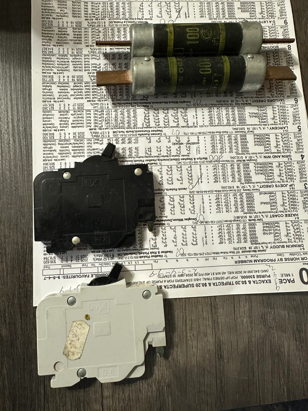 Pair of 100 Amp & 250 Amp Fuses/ House Fuses