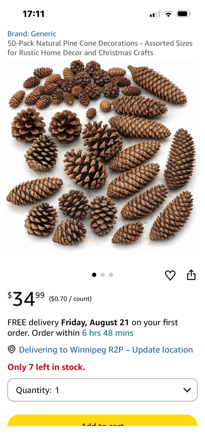 Bag of Natural Pine Cones - Assorted Sizes - photo 4